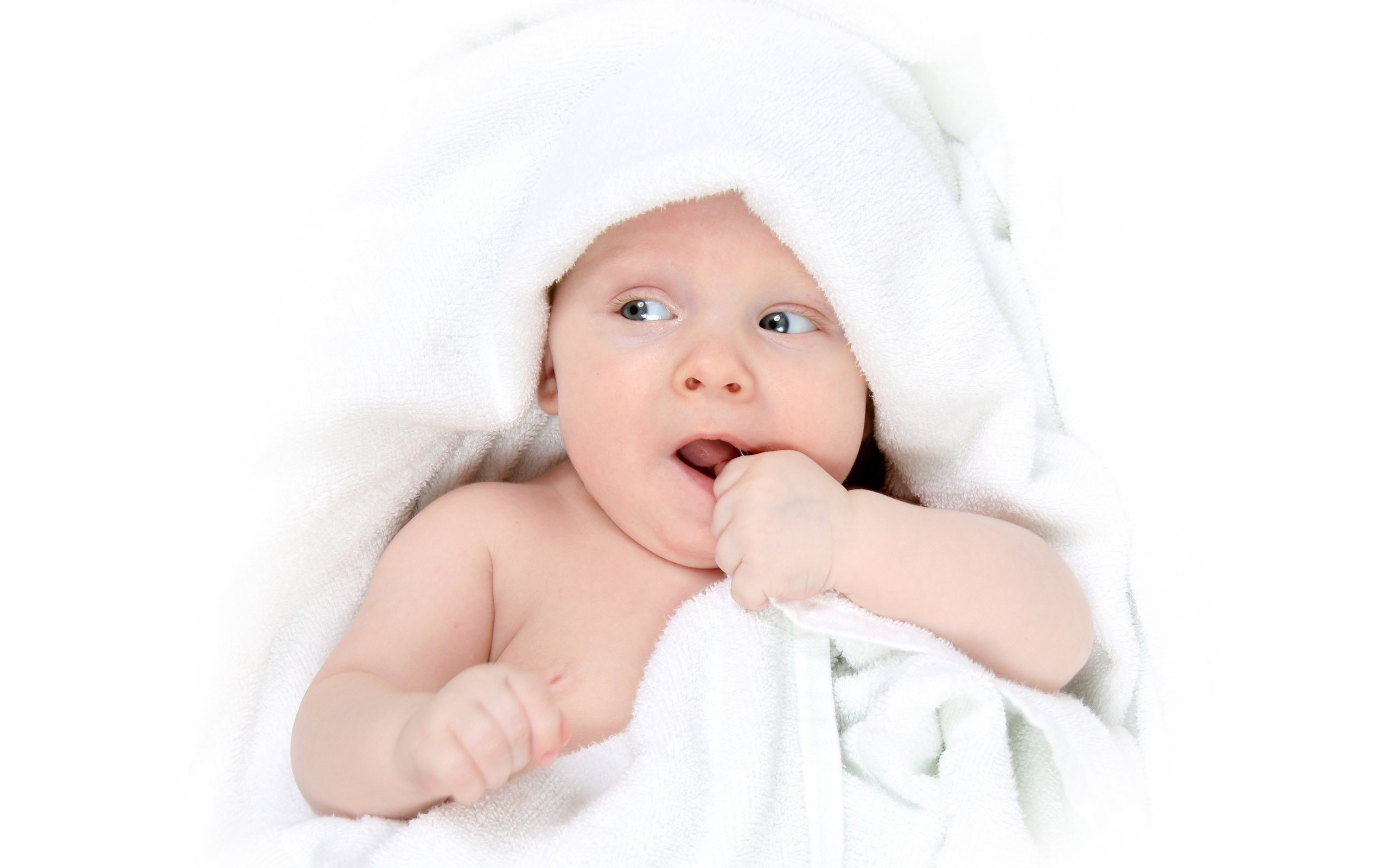 宁波捐卵医院试管婴儿冻囊胚成功率